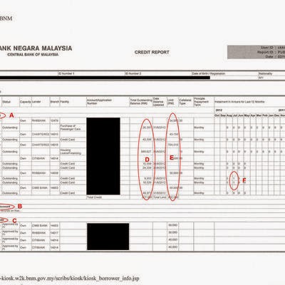 penjelasan mengenai ccris report
